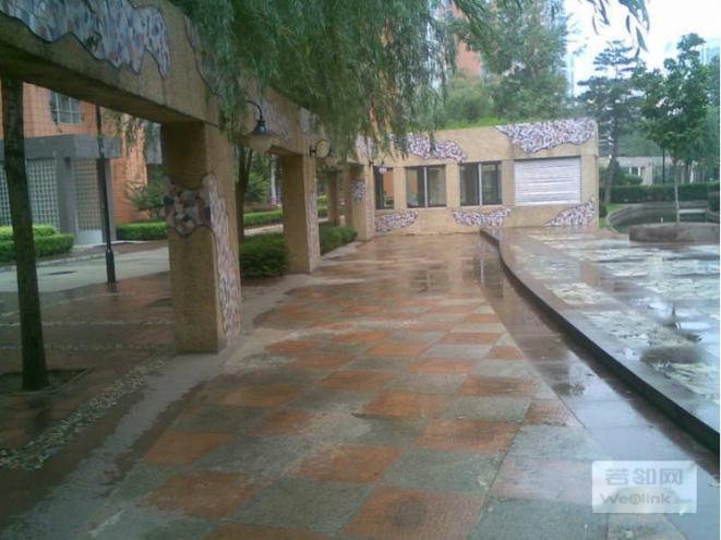 1259.jpg 1259.jpg