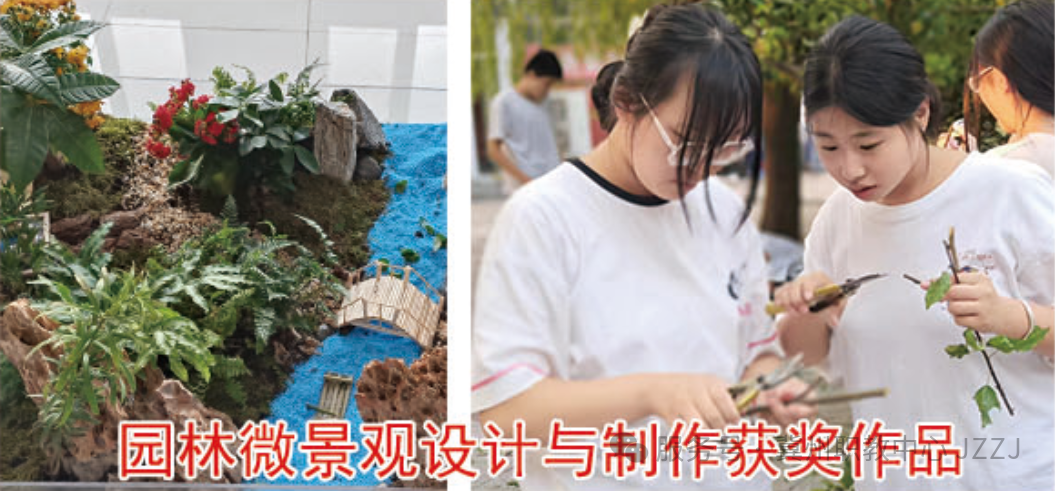 冀州职教中心·衡水市冀州区技工学校 2025年招生简章(图4) 图片