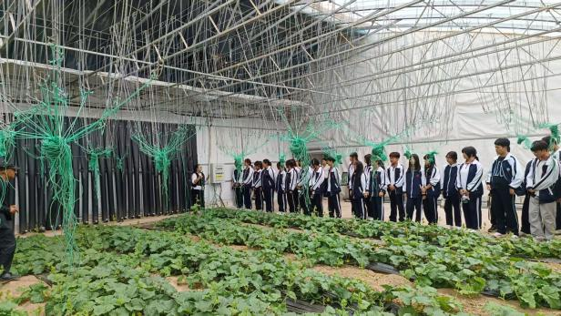 探秘现代农业 培育专业新苗——冀州职教中心农林专业学子开启研学之旅(图4) 5.png