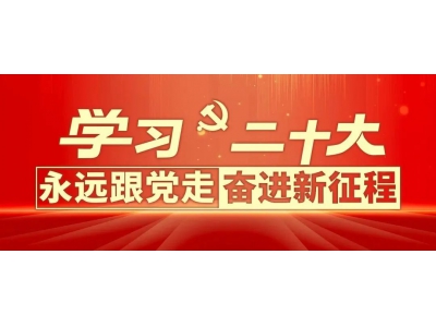 二十大报告关于职业教育有哪些新提法？多位专家解读
