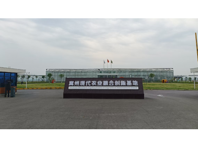 探秘现代农业 培育专业新苗——冀州职教中心农林专业学子开启研学之旅